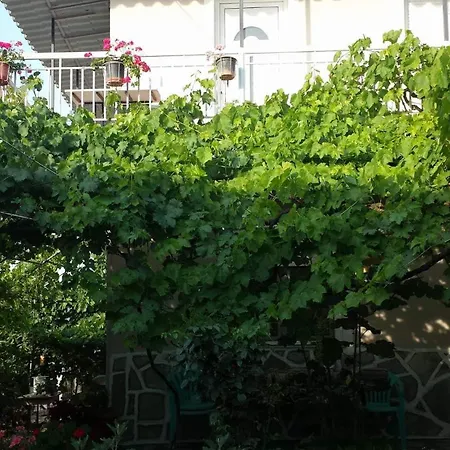 Appartement Beekeeper's House *